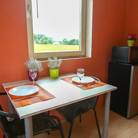 Apartment Aurora Wilna